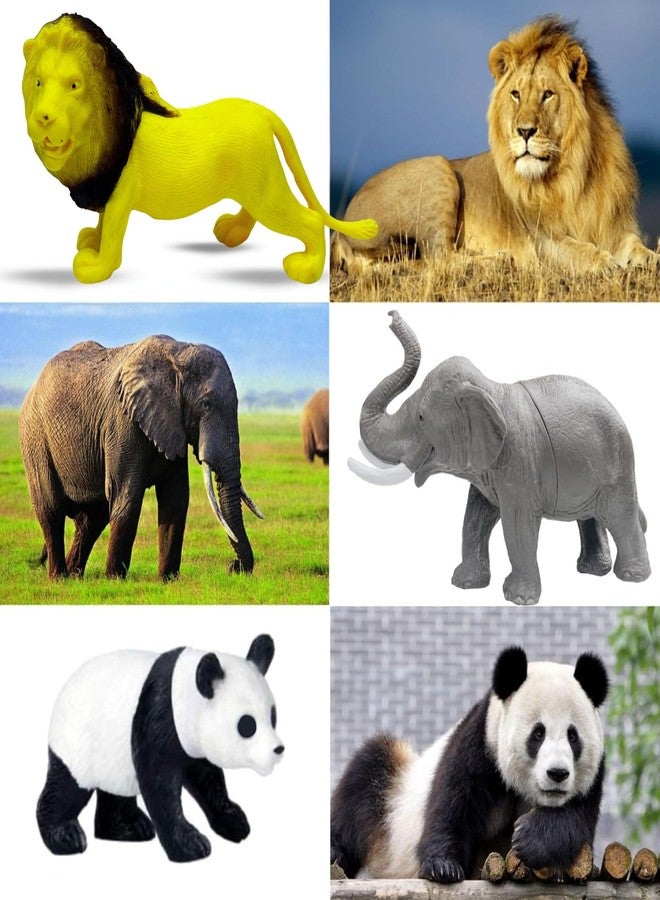 MALLEXO Big Size Realistic Forest Wild Animal Action Figures Playset for Kids 3+| 12PCS Jungle Animals Figurine Party Favor Toy for Boys and Girls Birthday Gift for Children Learning & Decoration Item - Image 5